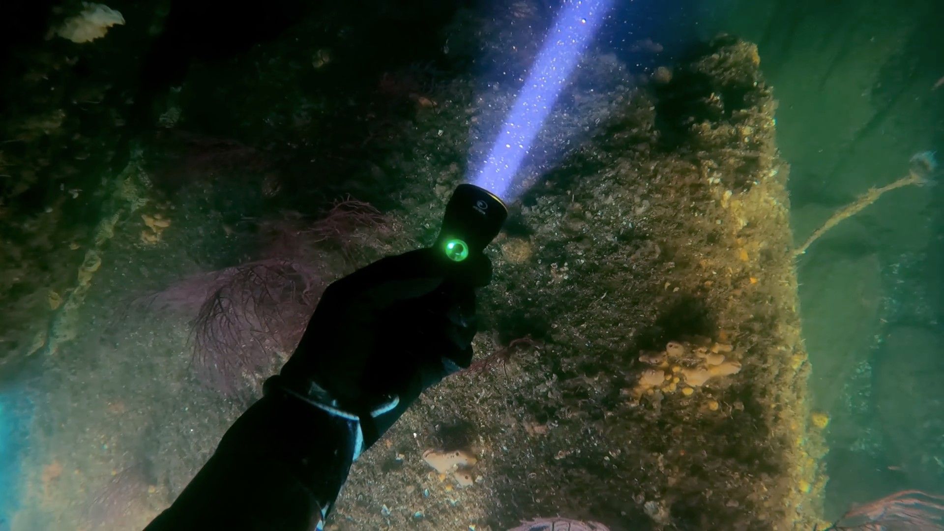 Pescador submarino con la linterna PS Dive SMALL 2000 iluminando el fondo