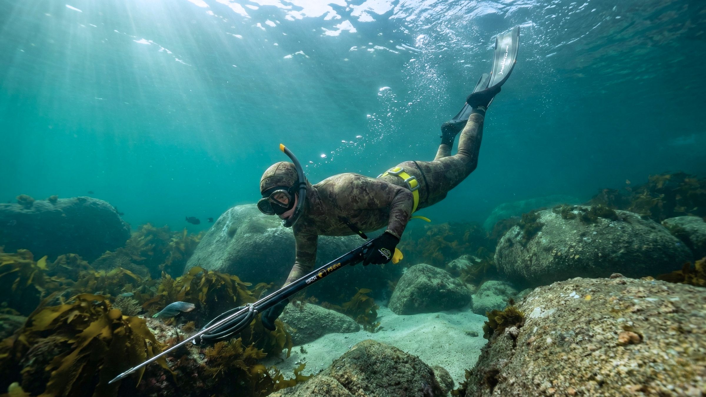 Máxima agilidad y diseño hidrodinámico en pleno ascenso a la superficie.