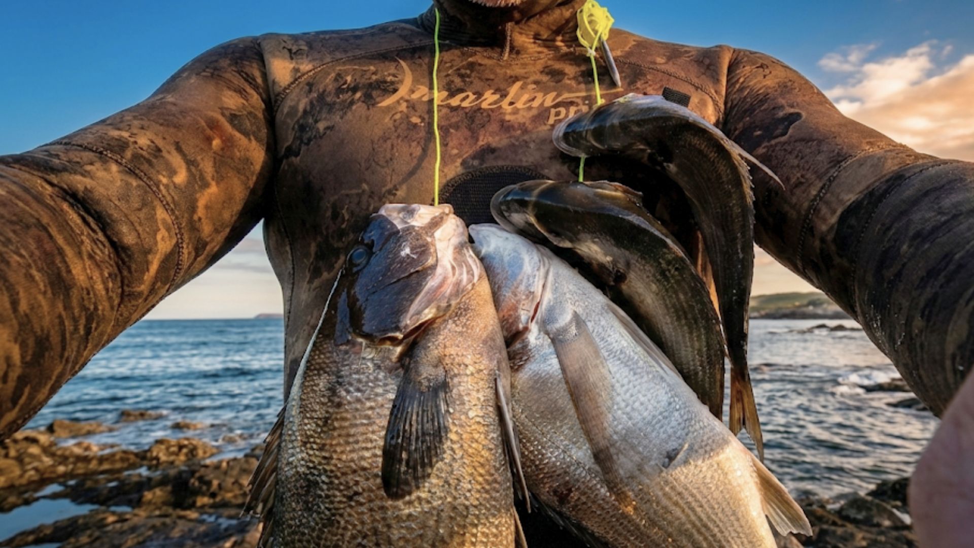 El aliado perfecto para garantizar el éxito y la discreción en cada inmersión.